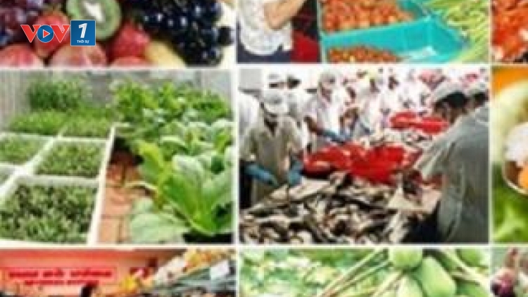 Kỹ sư Phạm Tiến Duật với những trăn trở để người tiêu dùng được sử dụng thực phẩm đảm bảo an toàn vệ sinh thực phẩm. (27/11/2017)