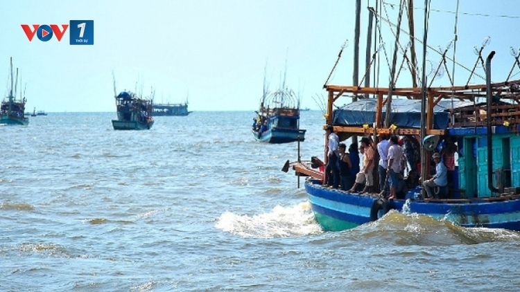 Ngăn chặn tình trạng đánh bắt cá bất hợp pháp – bắt đầu từ chủ tàu  (27/12/2017)