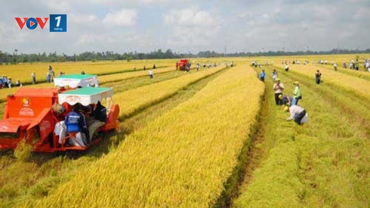 Tích tụ ruộng đất phải đảm bảo hài hòa lợi ích của nhà nước, doanh nghiệp và người dân (21/12/2017)