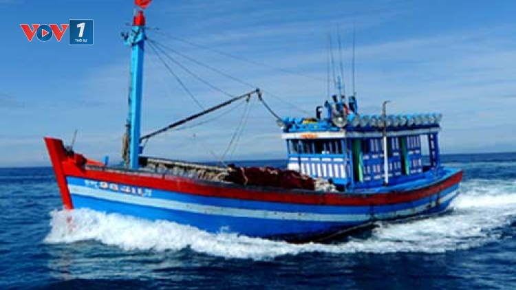 Khắc phục tình trạng tàu cá nước ta xâm phạm vùng biển nước ngoài khi khai thác hải sản (22/2/2017)