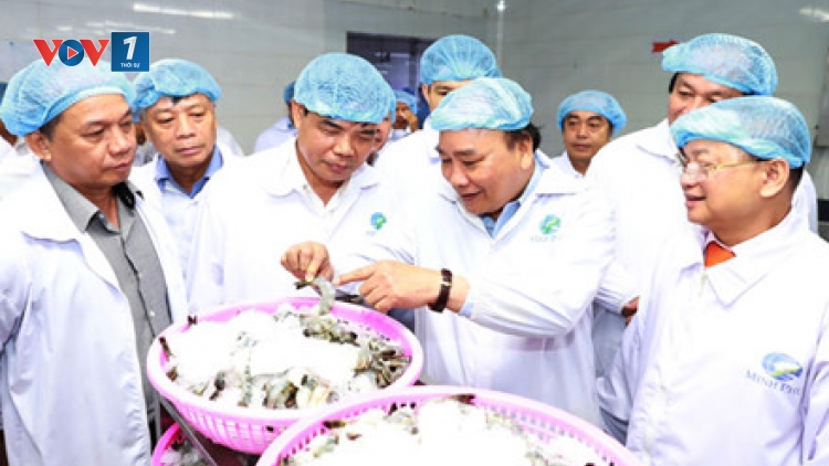 Để trở thành công xưởng tôm thế giới (16/02/2017)