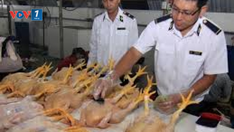 Quản lý an toàn thực phẩm: Xử lý chưa tương xứng với thực trạng (15/3/2017)