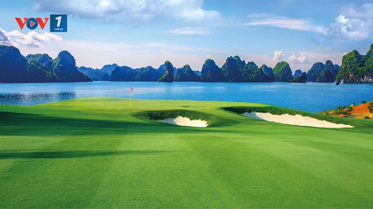 Phó Thủ tướng Trịnh Đình Dũng yêu cầu Uỷ ban nhân dân tỉnh Quảng Ninh dừng việc thi công Dự án FLC Hạ Long để thực hiện việc đánh giá tác động môi trường theo đúng quy định của pháp luật (Thời sự trưa 31/3/2017)