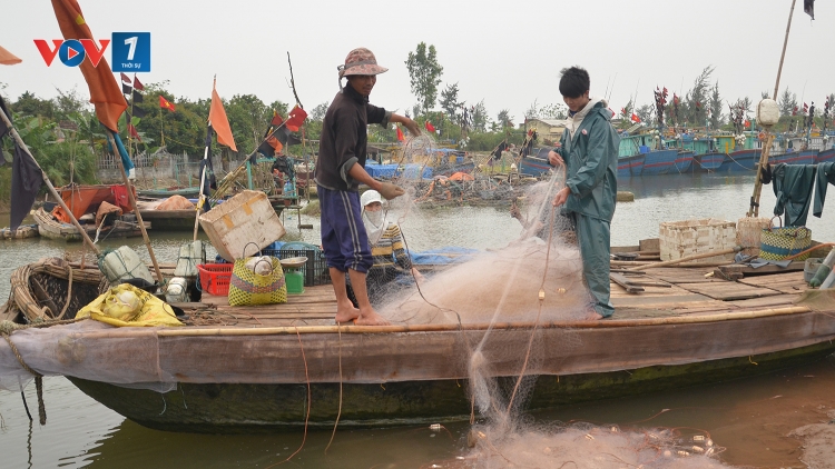 Thiếu lao động nghề biển: Vì sao? (01/5/2017)