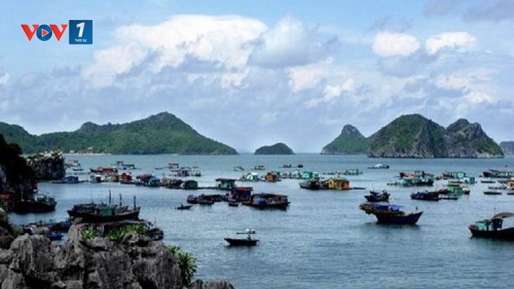 Huyện đảo Cát Hải vươn mình trên sóng (02/4/2017)