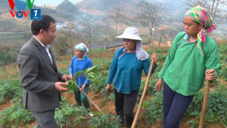 Thạc sỹ người Mông đầu tiên của huyện Si Ma Cai, Lào Cai và những nỗ lực không mệt mỏi của anh trong công việc và cuộc sống (3/4/2017)