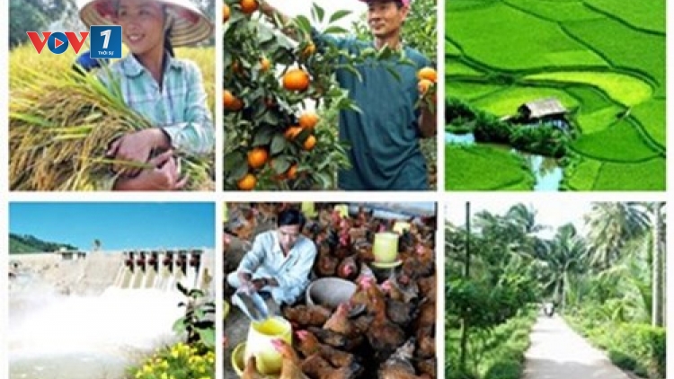Giải pháp nào cho một nền nông nghiệp chủ động và bền vững (19/5/2017)