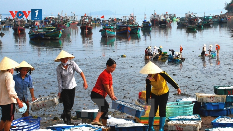 Bộ Nông nghiệp và Phát triển Nông thôn cho biết sẽ không khai thác hải sản tầng đáy tại 4 tỉnh miền Trung trong 6 tháng đầu năm nay (Thời sự đêm 18/5/2017)