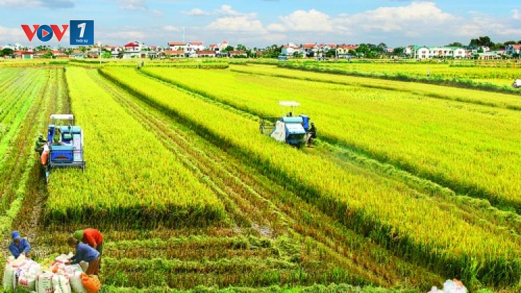 Cần một cú huých thực chất (24/6/2017)