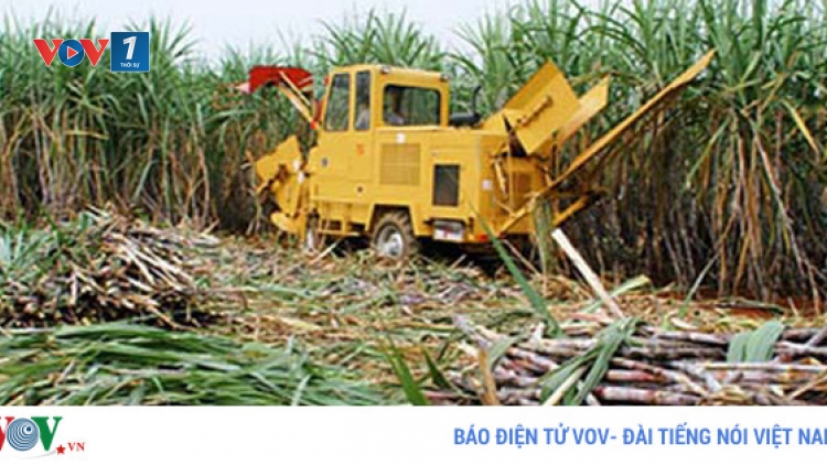Lượng đường tồn kho trên cả nước xấp xỉ 750.000 tấn, cao nhất từ trước đến nay (Thời sự trưa 13/6/2017)