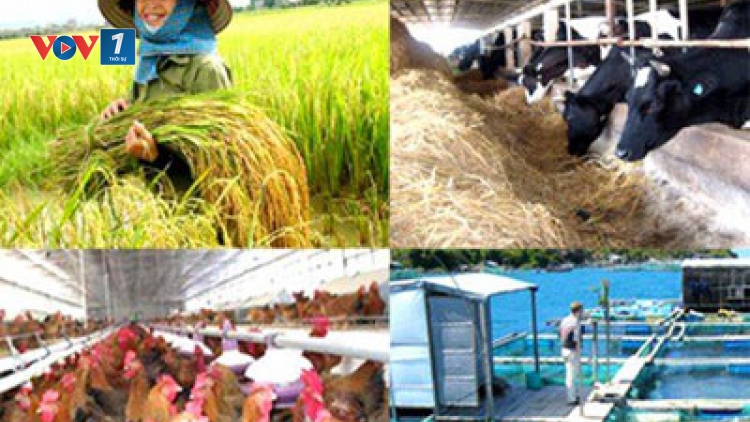 Gỡ khó cho đầu tư nông nghiệp, nông thôn (23/6/2017)