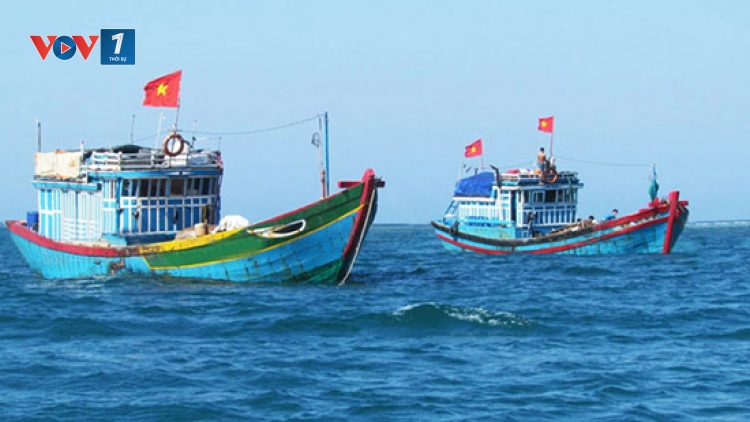 Để ngành khai thác hải sản xa bờ phát triển bền vững. (12/6/2017)