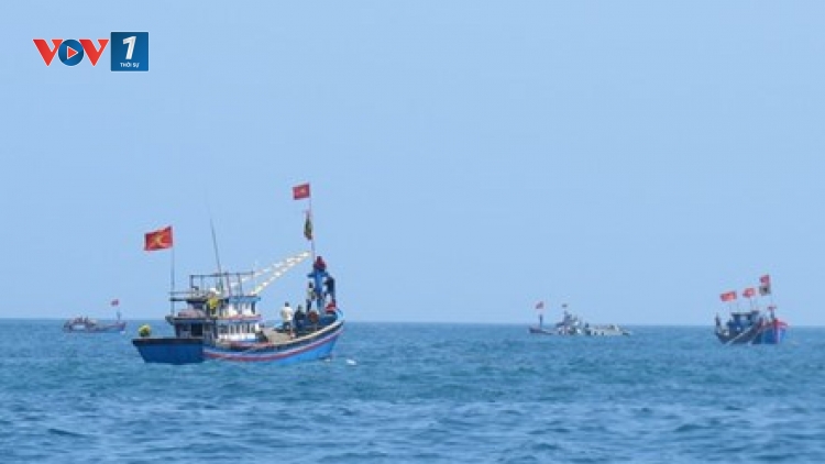 Tàu cá Việt Nam đánh bắt trái phép ở vùng biển nước ngoài: Trách nhiệm của cơ quan quản lý và chính quyền địa phương? (18/6/2017)