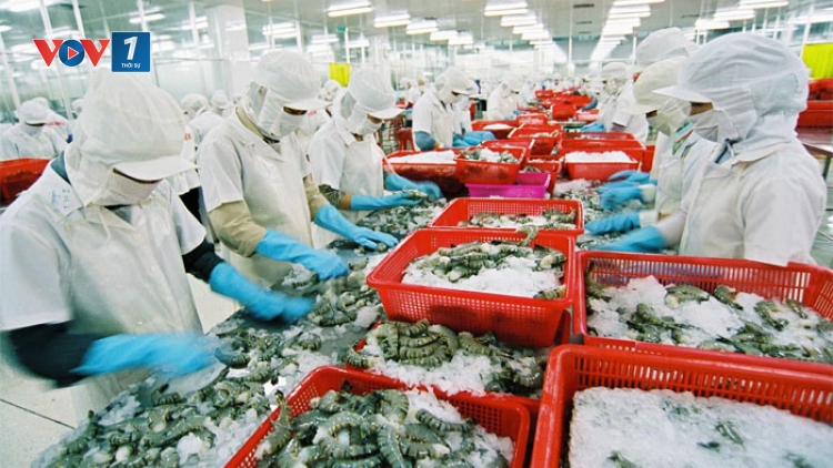 Dự thảo Luật Thủy sản sửa đổi -Chia sẻ trách nhiệm để phát triển thủy sản (17/7/2017)