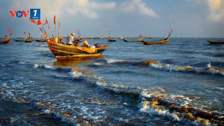 Cấm đánh bắt vào mùa sinh sản- thực tiễn áp dụng ở nước ta (17/7/2017)