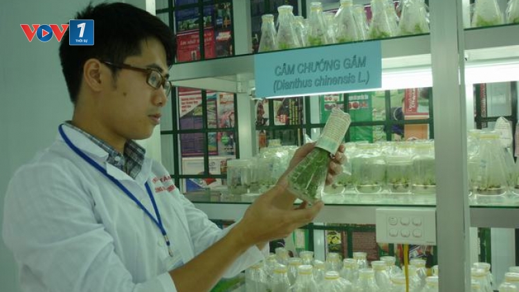 Ứng dụng khoa học công nghệ để phát triển dược liệu trong nước (07/7/2017)