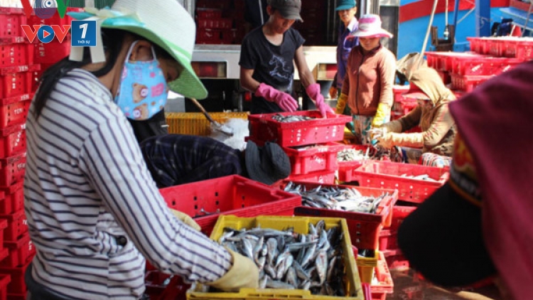 Hỗ trợ Doanh nghiệp nhỏ và vừa để phát triển các cụm liên kết ngành trong chuỗi giá trị khu vực nông nghiệp, nông thôn (5/7/2017)