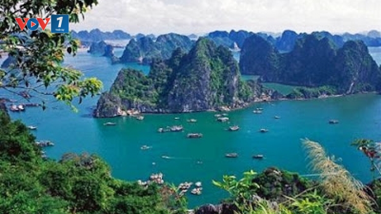 Những giá trị độc đáo về đa dạng sinh học ở Hạ Long – Cát Bà và bài toán bảo tồn (28/8/2017)