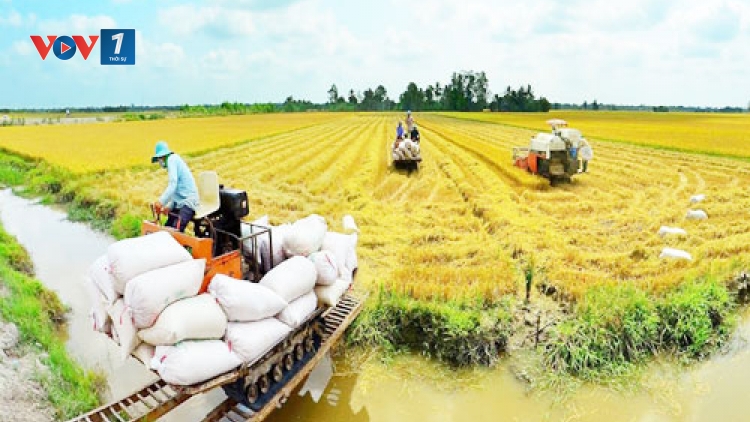 Kịch bản cho nông nghiệp Đồng bằng sông Cửu Long phát triển bền vững, thịnh vượng (28/9/2017)