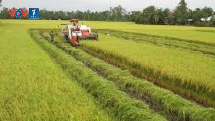 Nông nghiệp 2018: Cơ hội và thách thức (03/01/2018)