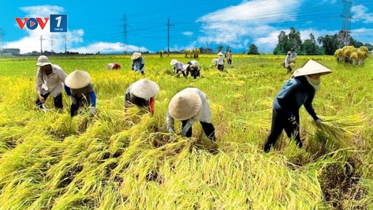 Dương Thị Thùy Vân, người phụ nữ khởi nghiệp thành công bằng tình yêu nông nghiệp. (12/01/2018)