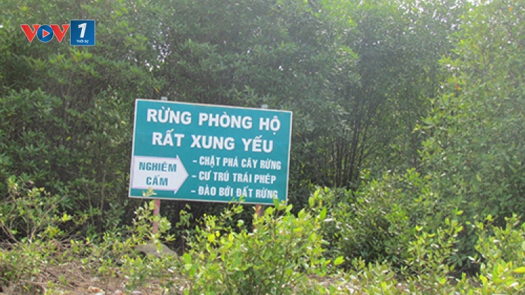 Rừng chỉ được bảo vệ khi người dân sống được từ rừng (30/01/2018)
