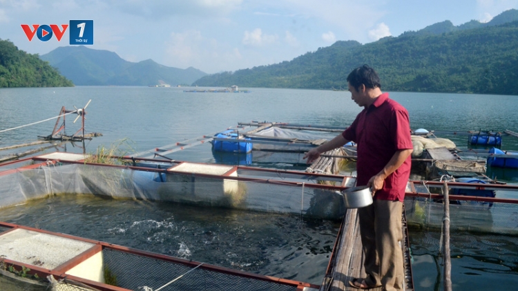 Giải pháp nào đánh thức tiềm năng từ nuôi trồng thủy sản tại các tỉnh miền Bắc (9/10/2018)