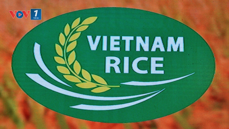 Logo Thương hiệu gạo Việt Nam: Mới chỉ là sự khởi đầu cần phải có ! (20/12/2018)