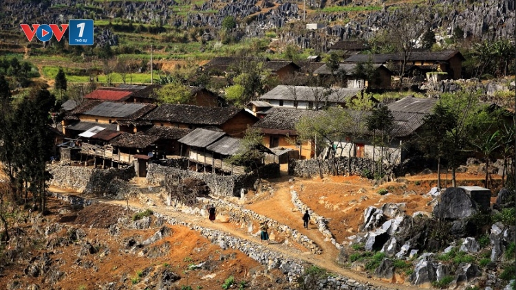 Farmstay - Nông nghiệp bền vững cho bà con dân tộc thiểu số ở Đồng Văn, Hà Giang (2/12/2018)