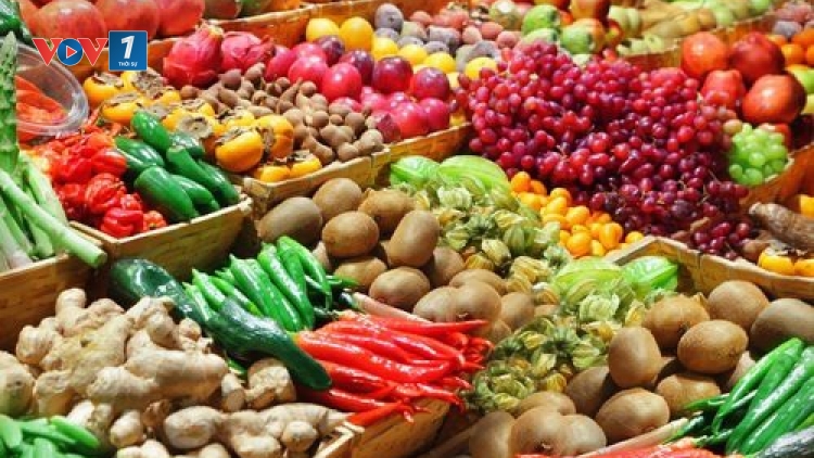 Ngành sản xuất rau quả trong năm 2018 – thành công và những thách thức (23/12/2018)