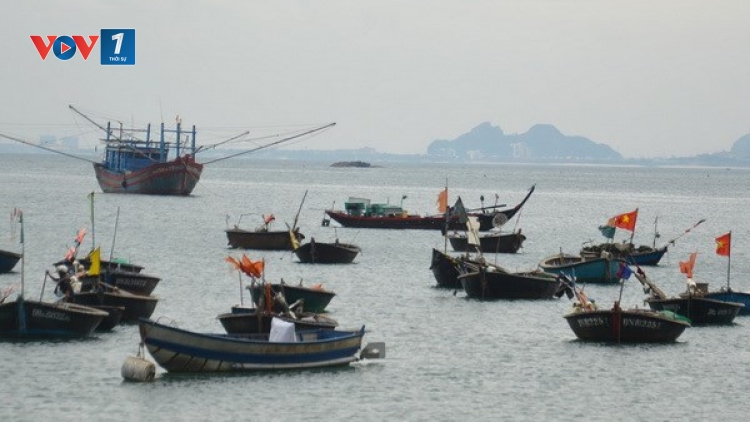 Cấp hạn ngạch khai thác để bảo vệ nguồn lợi thủy sản (3/12/2018)