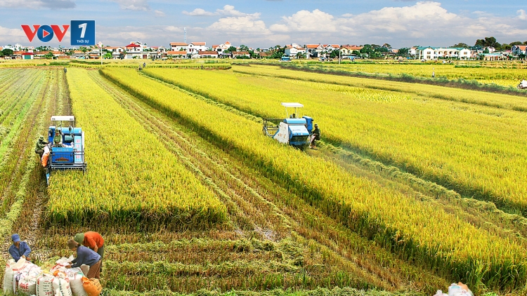 Đầu tư cho nông nghiệp, nông thôn để trở thành nền nông nghiệp xanh và bền vững (21/02/2018)