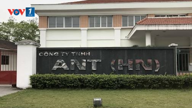 Các nhà máy sản xuất thức ăn chăn nuôi ở Hải Dương gây ô nhiễm môi trường, ảnh hưởng đến cuộc sống của người dân. (29/3/2018)