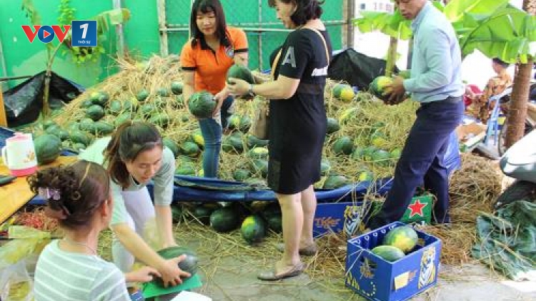 Tìm đầu ra cho thị trường nông sản – Bài toán khó (7/5/2018)