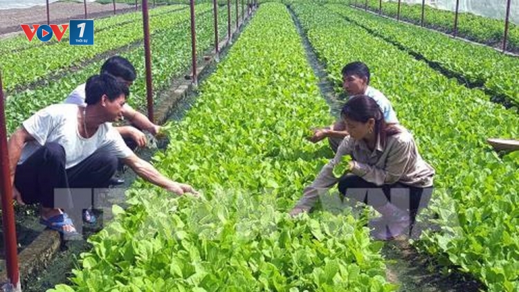 Công nghệ mới thích ứng với biến đổi khí hậu là mảnh đất vàng cho khởi nghiệp (29/5/2018)