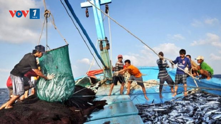 Tích cực triển khai biện pháp khắc phục thẻ vàng EC (16/5/2018)