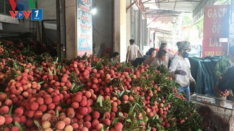 Liên kết tiêu thụ nông sản: Bài học kinh nghiệm từ chuyện tiêu thụ vải thiều (14/6/2018)