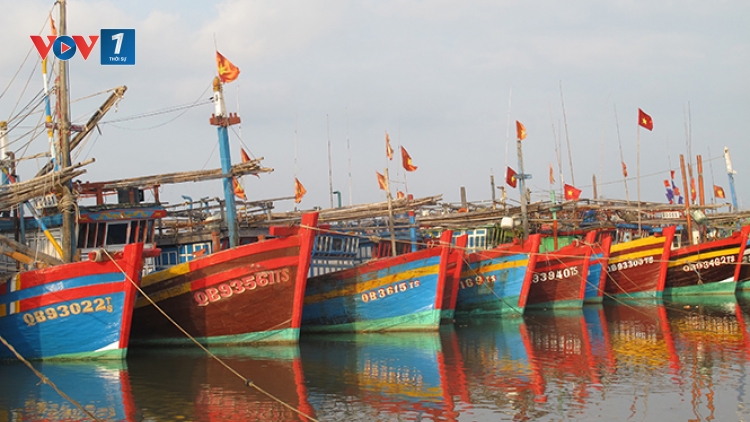 Hướng dẫn tàu thuyền neo đậu tránh bão an toàn (29/6/2018)