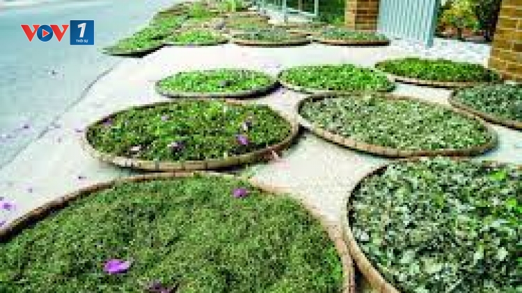 Góc khuất đằng sau câu chuyện có bệnh thì vái tứ phương (20/7/2018)