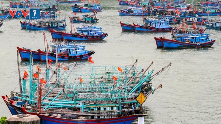 Để ngư dân có thể chủ động ứng phó với mưa bão (15/8/2018)
