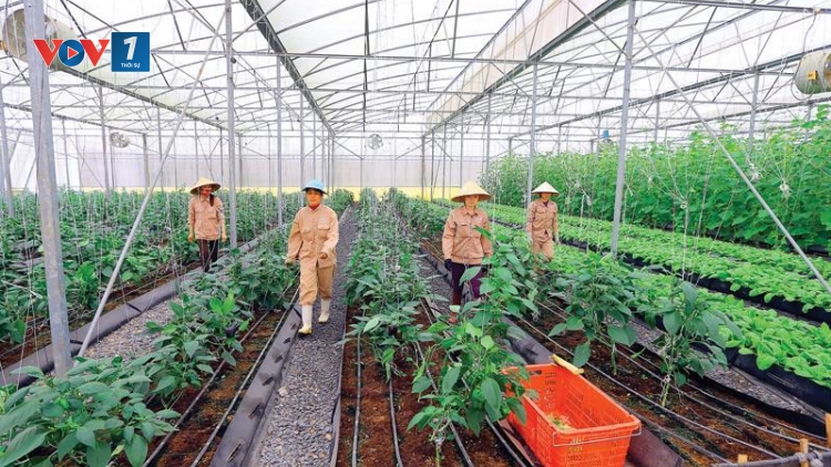 Giải pháp nào thu hút nguồn vốn đầu tư vào nông nghiệp? (18/9/2018)