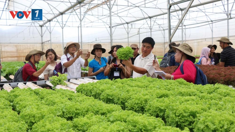 Sản xuất nông nghiệp hữu cơ - Hướng đi đúng cho nền nông nghiệp Việt Nam (29/9/2018)