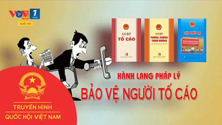 Bảo vệ quyền lợi và nghĩa vụ của người tố cáo (7/1/2019)