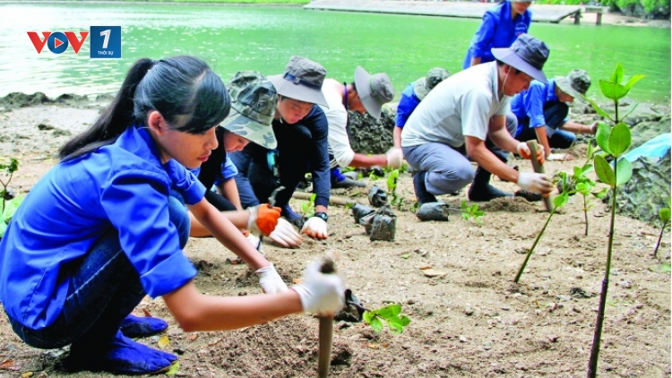 Biến đổi khí hậu và hành động của tuổi trẻ (2/1/2019)