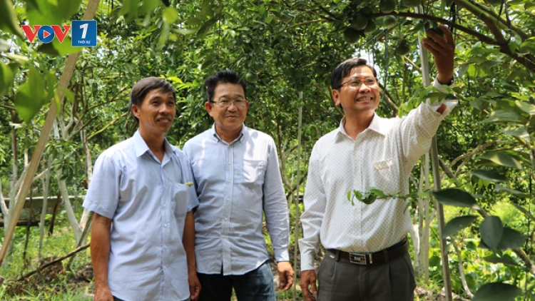 Hội quán - Mô hình mới để nông dân cùng nhau liên kết (11/1/2019)