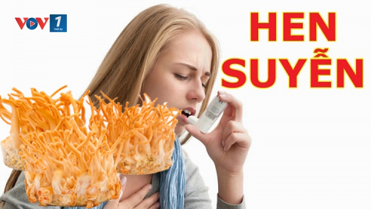 Tác dụng của đông trùng hạ thảo với bệnh hen (12/1/2019)