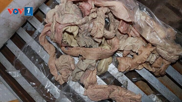Hải Phòng: Tiêu hủy 6 tấn lòng lợn nhiễm dịch tả châu Phi (8/10/2019)