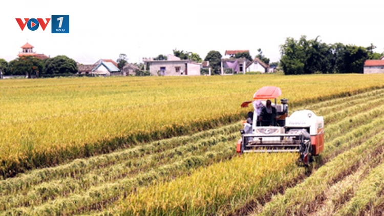 Dồn điền đổi thửa – bước đột phá trong xây dựng nông thôn mới (16/10/2019)