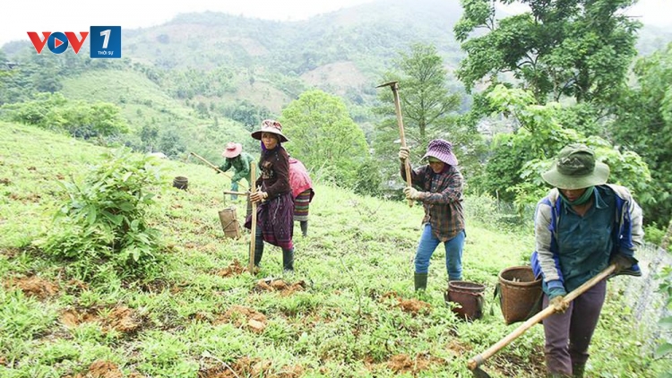 Đổi mới cách giải quyết tình trạng thiếu đất ở , đất sản xuất theo hướng tiếp cận sinh kế bền vững tại vùng đồng bào dân tộc (9/10/2019)