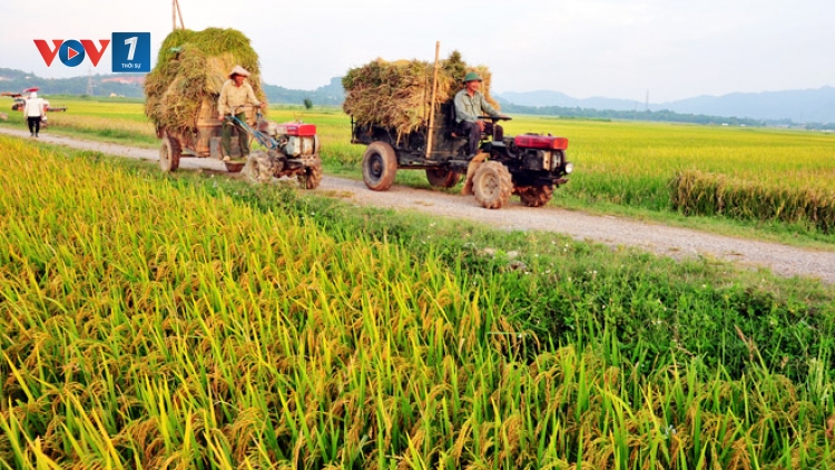 Nhu cầu về lương thực, thực phẩm ngày một gia tăng, vậy làm sao để ổn định và đáp ứng nhu cầu này của người dân? (3/10/2019)